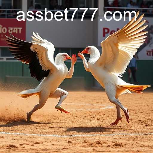 Explorando o Fascinante Mundo do Sabong Online com Assbet